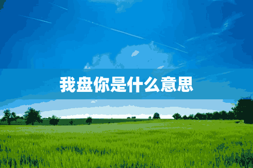 我盘你是什么意思